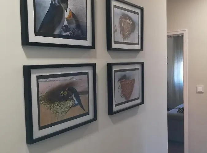 Casa Do Ninho - Entre O Campo E A Casa de Férias *