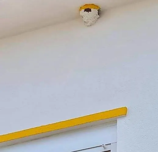 Casa Do Ninho - Entre O Campo E A Cadaval